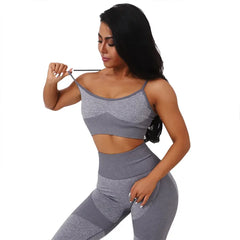 FlexFit Sports Bra Home of Fit